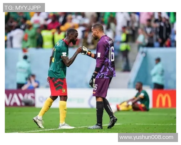 德国与喀麦隆比赛比分深度分析及战术解读