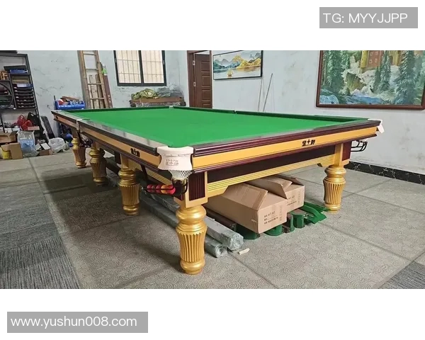 星牌台球桌的魅力与品质探秘，打造完美台球体验的理想选择