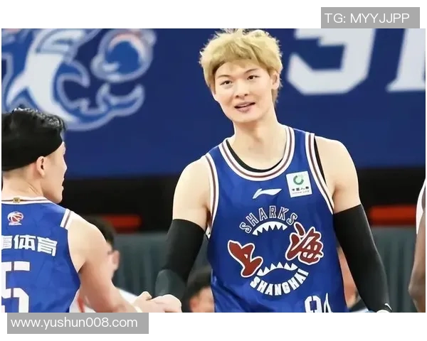 王哲林领衔中国篮球新篇章展现实力与魅力的双重风采